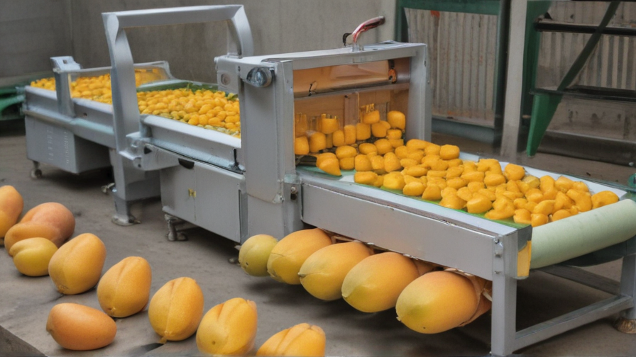 mango cutting machine price