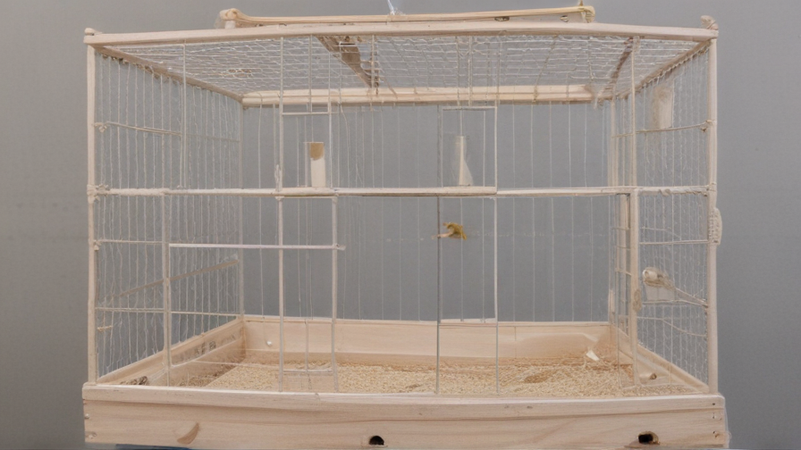 sound proof bird cage